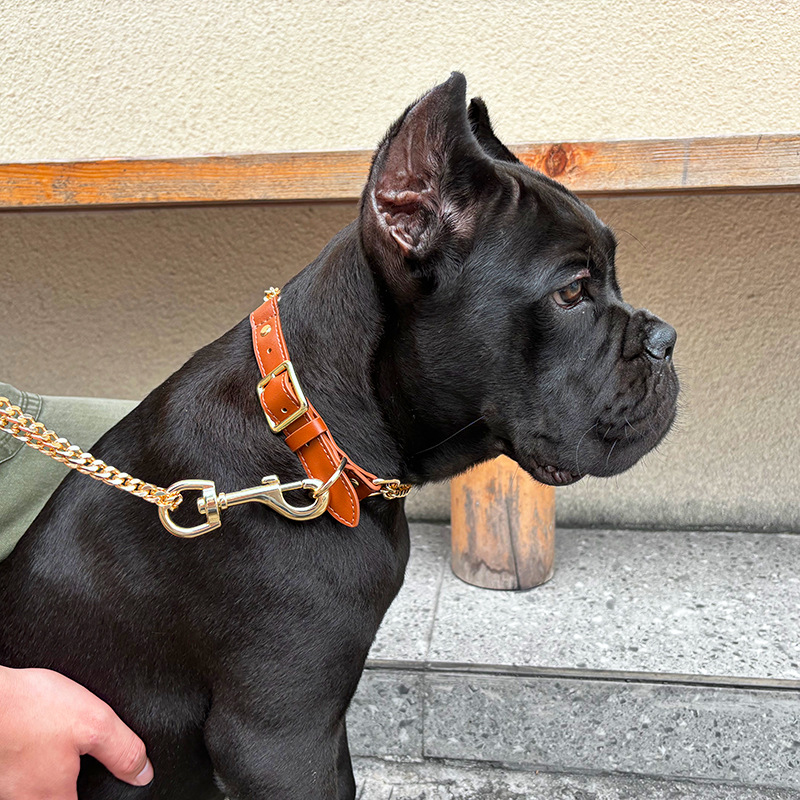 Loudik Wholesale Pet Collar Le – обзор и цена Leather Strap Quick Release